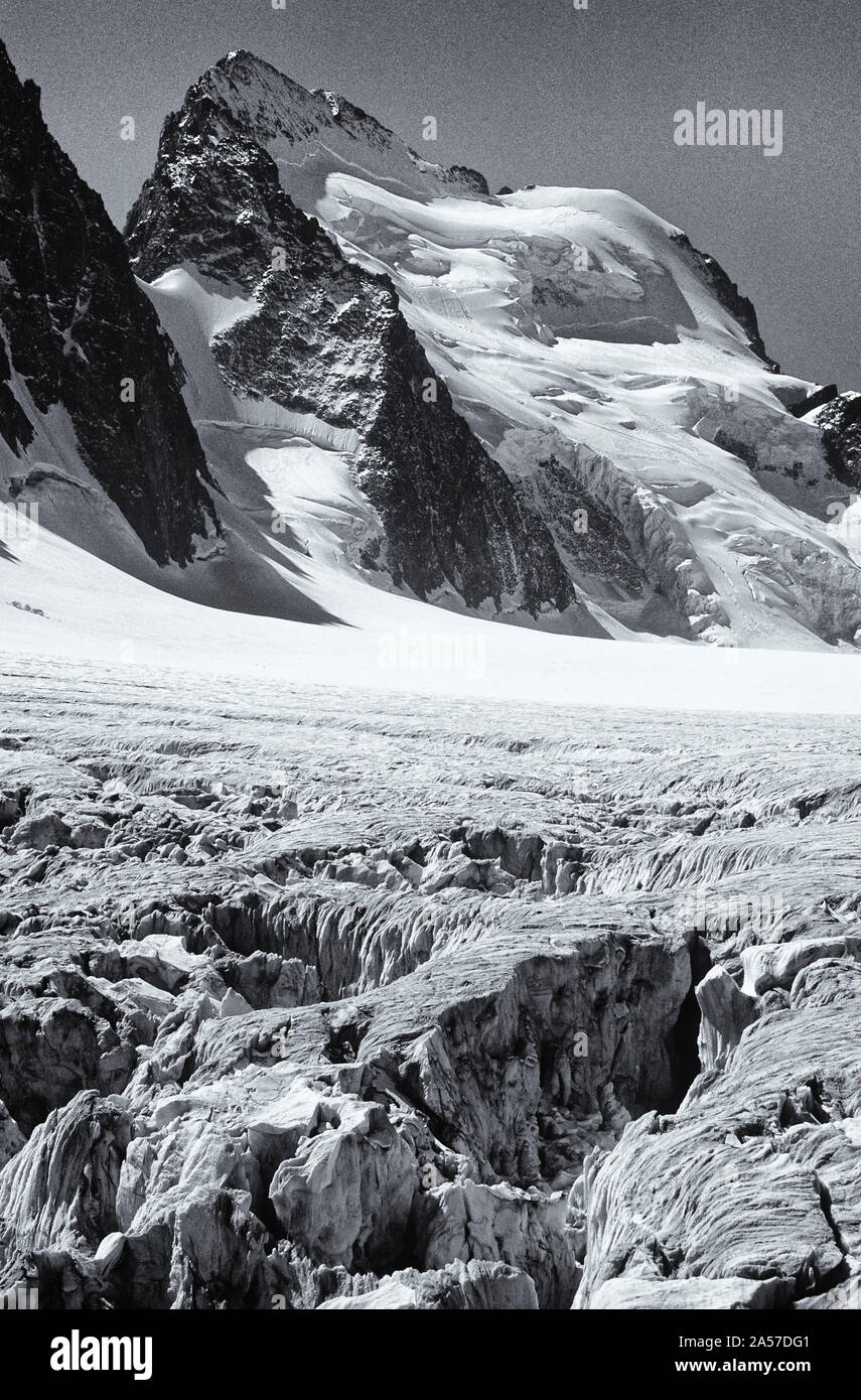 Die Barre des Écrins und Gletscherspalten auf Le Glacier Blanc, Nationalpark Ecrins, Dauphiné, Frankreich Stockfoto