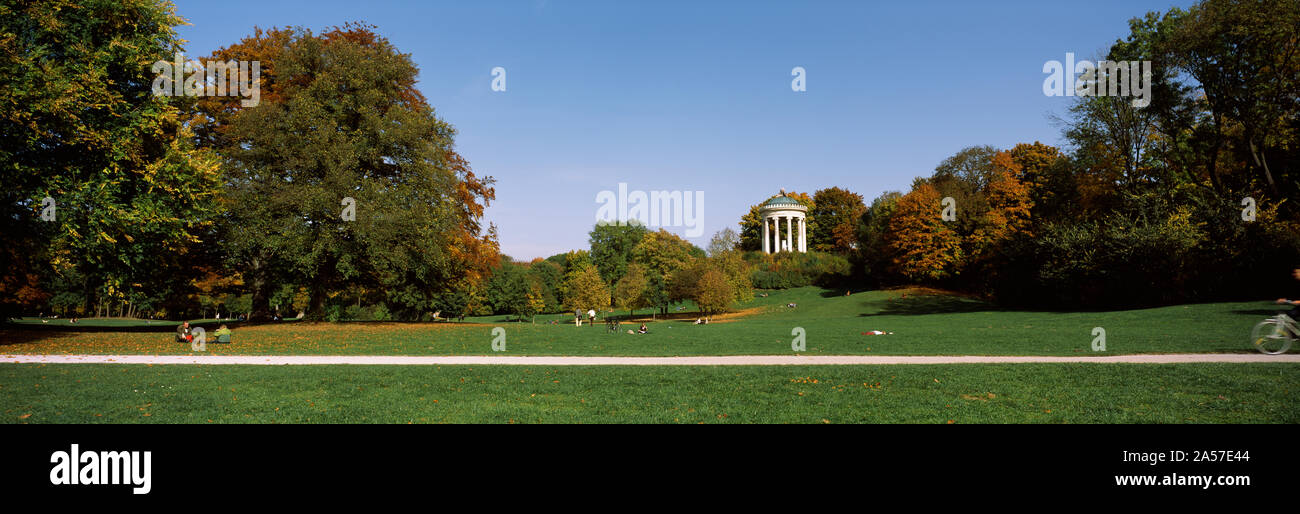 Die herbstlichen Bäume in einem Park, Englischer Garten, München, Bayern, Deutschland Stockfoto