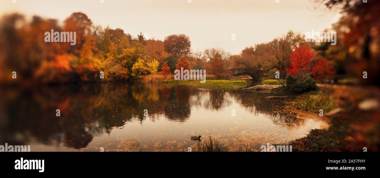 Teich im Park, Central Park, Manhattan, New York City, New York State, USA Stockfoto