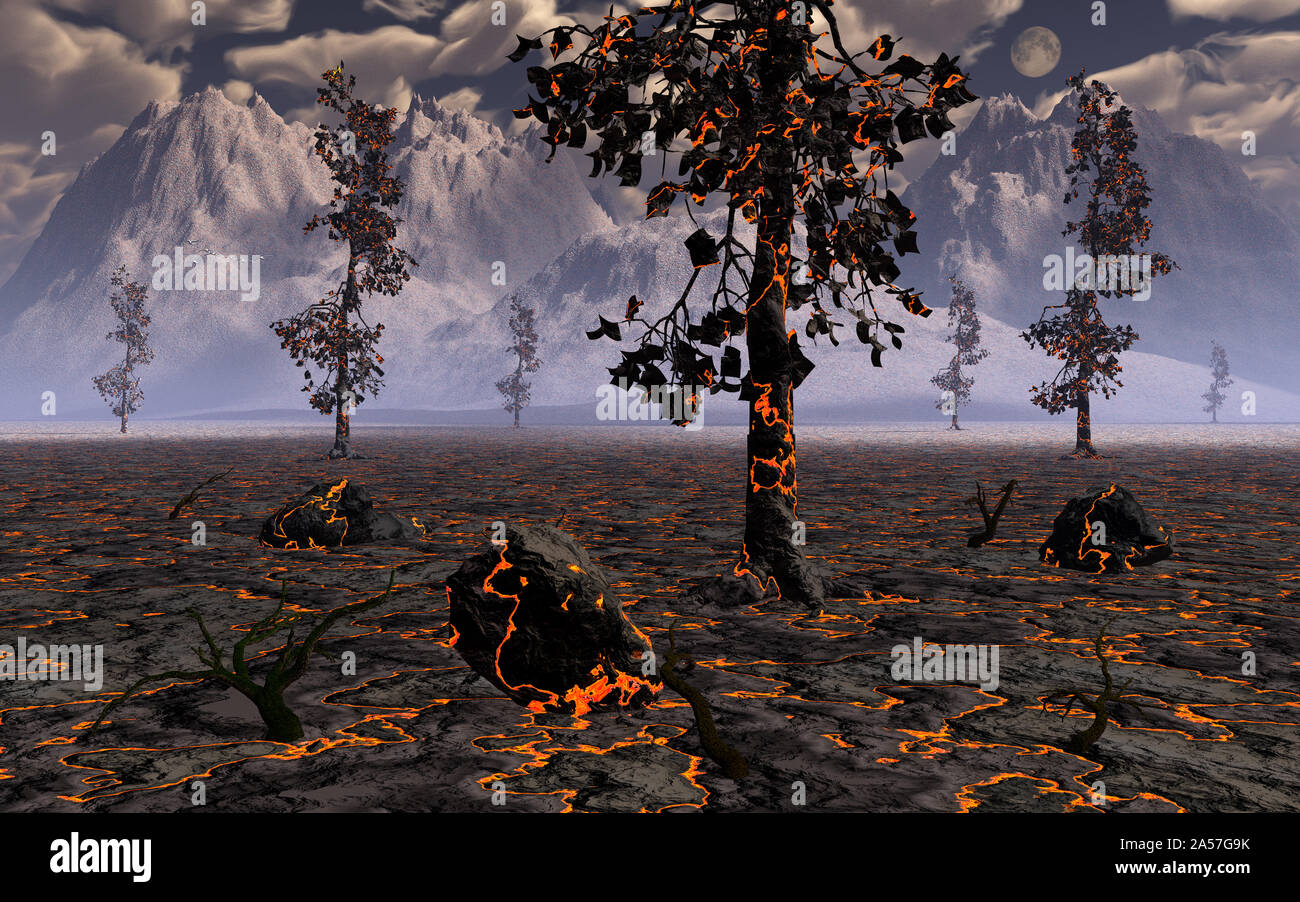 Sterbende Bäume Stockfoto