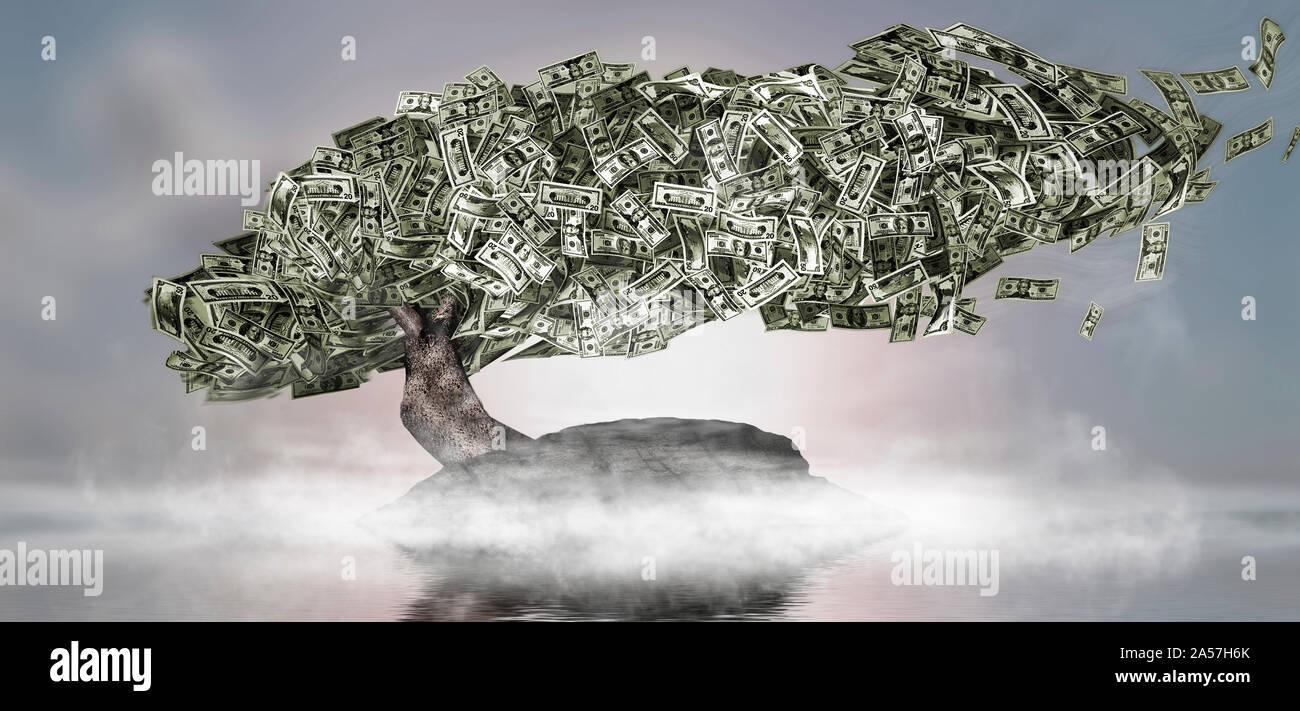 Nahaufnahme einer Money Tree Stockfoto