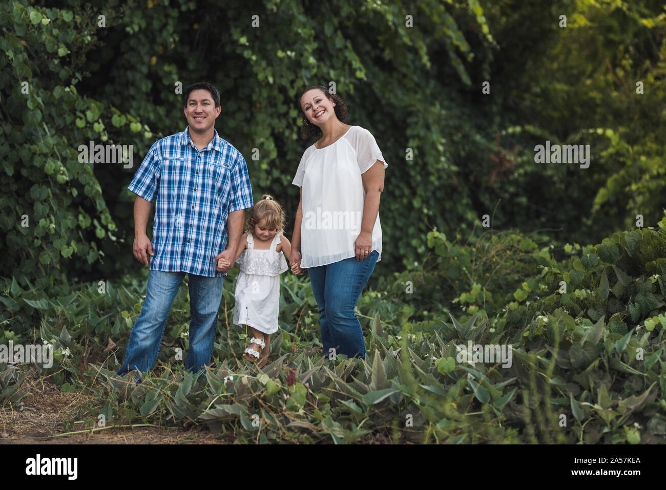 Lächelnd Mama, Papa und 4 Jahre alte Tochter halten sich an den Händen in einem grünen Feld Stockfoto