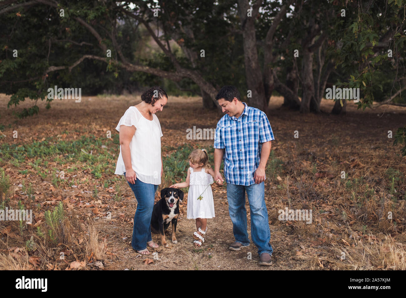 Eltern sehen Sie 4 Jahre alten Streichelzoo Familie Hund mit Baum im Hintergrund Stockfoto