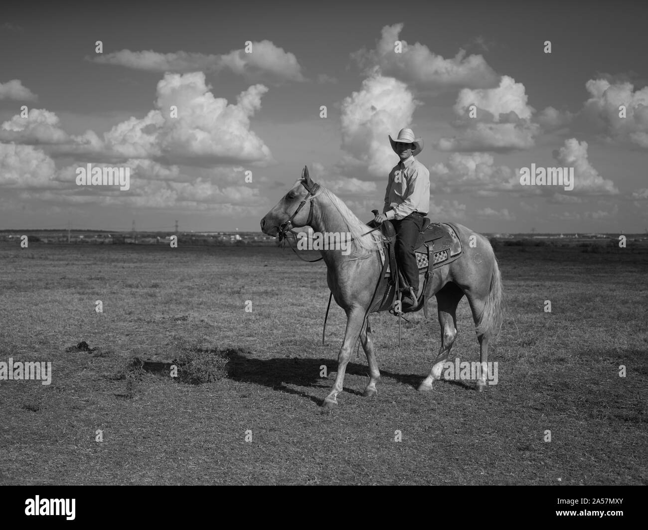 Wade Meador von Marietta, Oklahoma, ist der Trainer Pferd am Cannon Quarter Horse Ranch in der Nähe von Venus im Norden - zentrales Texas Stockfoto