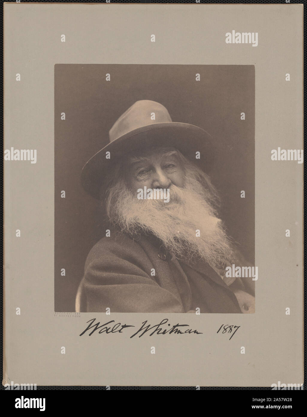 Amerikanische Dichter Walt Whitman. Dieses Bild wurde im Jahr 1887 in New York, der Fotograf George C. Cox. Das Bild ist sagte Whitman's Favorit aus der Foto-Session Stockfoto