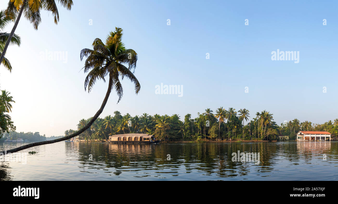 Kerala Backwaters in der Nähe von Alappuzha (Alleppey), Kerala, Indien Stockfoto