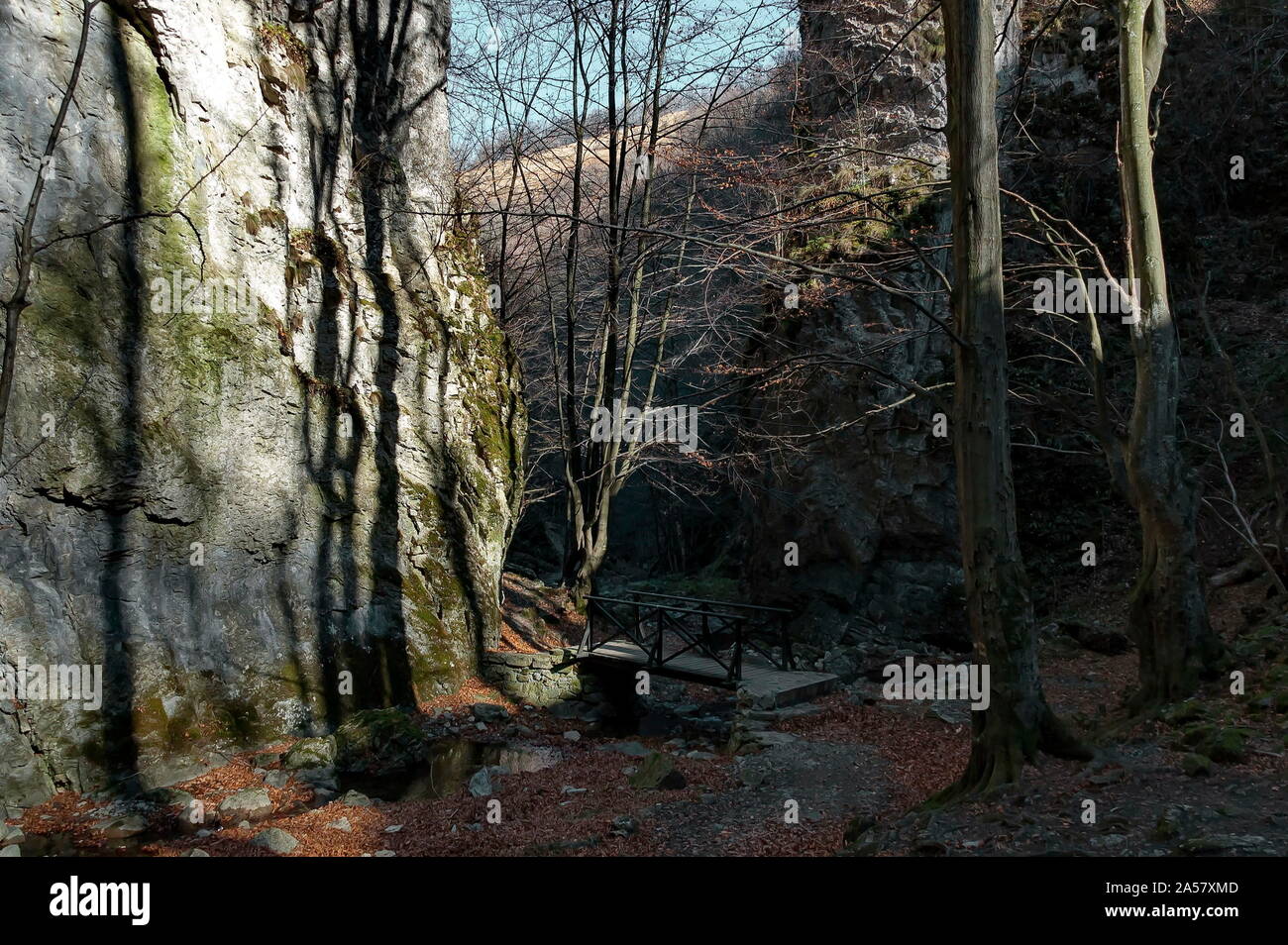 Herbst Spaziergang durch das Labyrinth von Teteven Balkan mit hohen Gipfeln, Fluss, die Brücke und die Bemoosten steilen Klippe, Stara Planina, Bulgarien Stockfoto