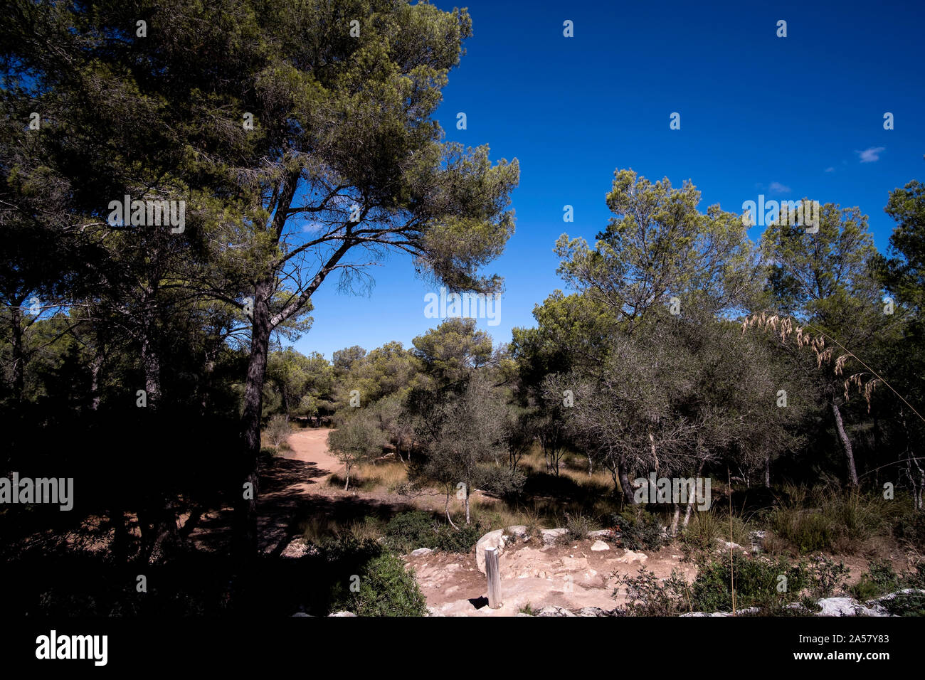 Cami de Cavalls Küstenweg auf Menorca, in der Nähe der Stadt Cala Galdana Stockfoto