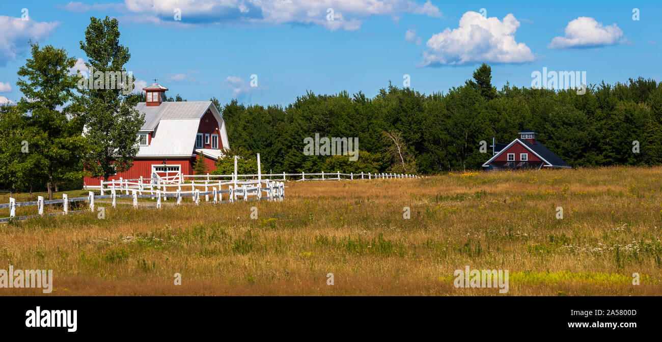 Rote Scheune in der Wiese, Knowlton, Quebec, Kanada Stockfoto