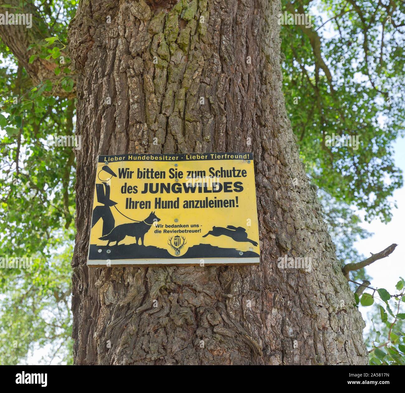 Angriff auf einen Baum mit der Inschrift, die wir Sie bitten, Ihren Hund an der Leine junge Spiel zu schützen, Bad Schallerbach, Österreich Stockfoto