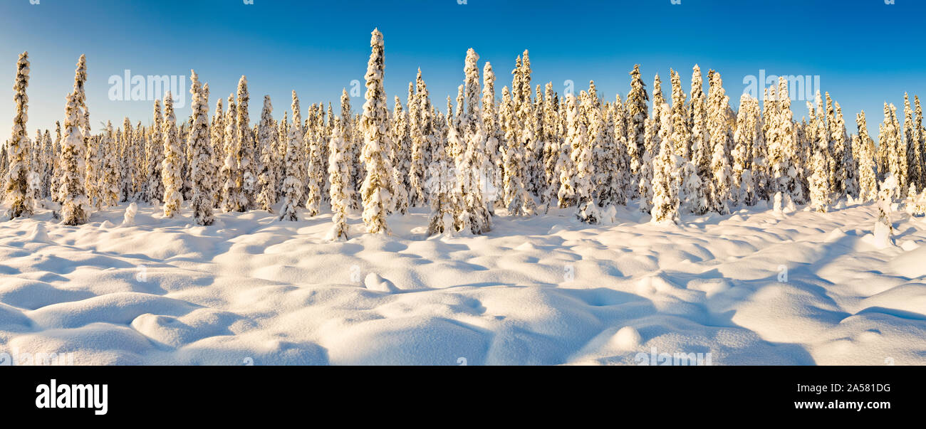 Malerische Winterlandschaft, Alaska, USA Stockfoto