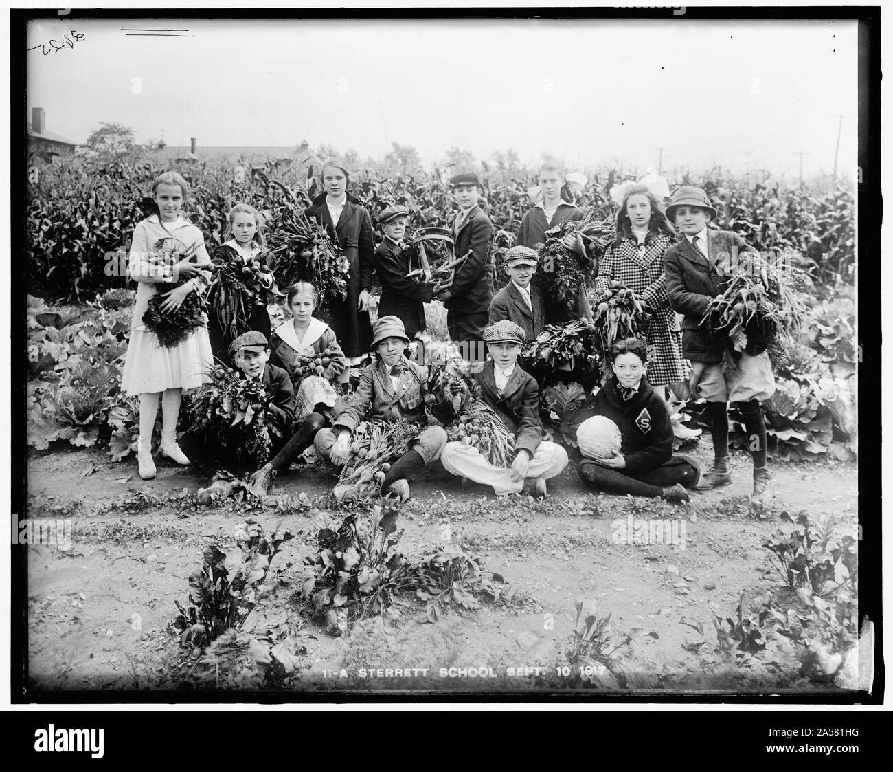 Krieg Garten Stockfoto