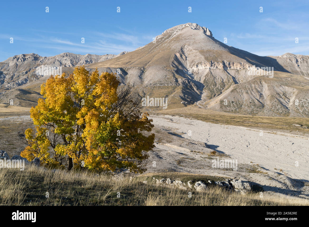 Herbstlaub im Gran Sasso und Laga Mountains National Park in Italien Stockfoto