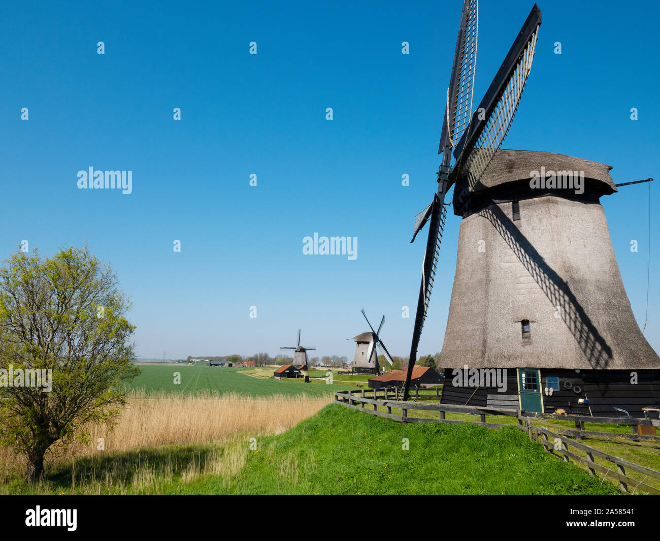 Ländliche Szene mit Windmühlen, Schermerhorn, Nord Holland, Niederlande Stockfoto