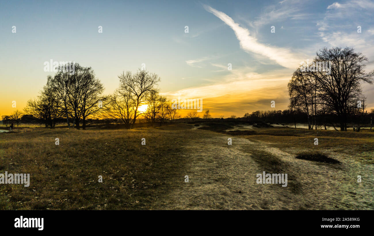 Landschaft der Boberger Dünen bei Sonnenuntergang im Winter Stockfoto