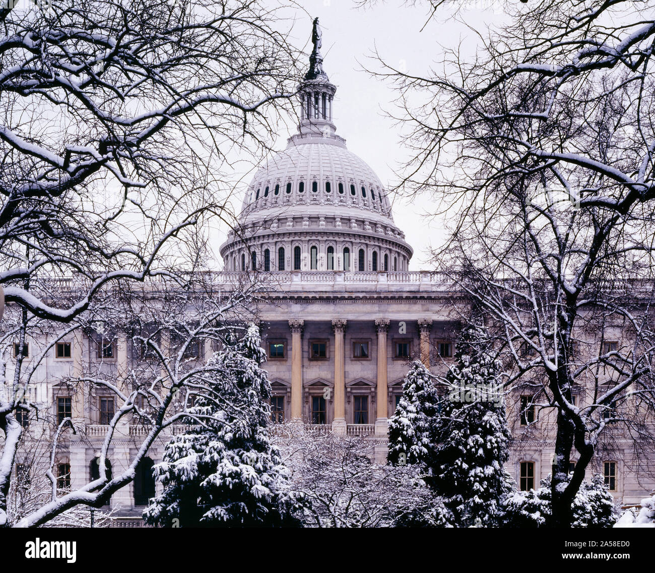 U.S. Capitol, Washington, D.C Stockfoto