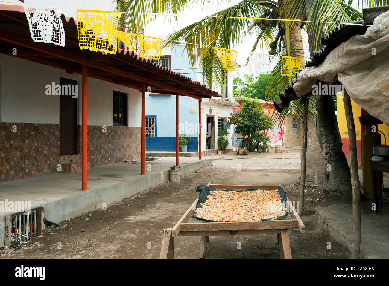 Garnelen (camarones) trocknen auf den Straßen von Mexcaltitán, Nayarit, Mexiko. Garnelen und Fischen sind die wichtigste Branche des kleinen Dorfes - Insel. Jun 2019 Stockfoto