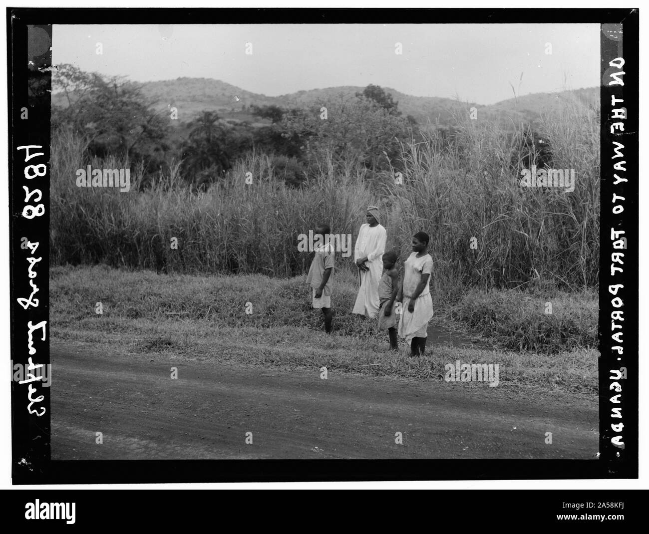 Uganda. Von Hoima nach Fort Portal. Arten am Straßenrand. Elefantengras im Hintergrund Stockfoto