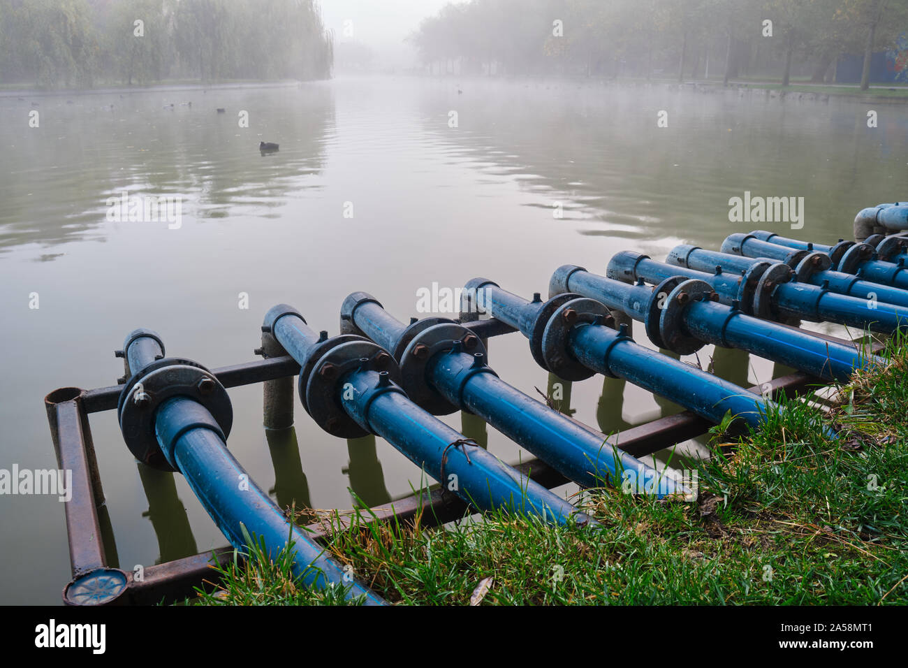 Blauen Leitungen in einer Stadt Teich verbunden, an einem nebligen Morgen, Alexandru Ioan Cuza (IOR) Park, Bukarest, Rumänien. Stockfoto