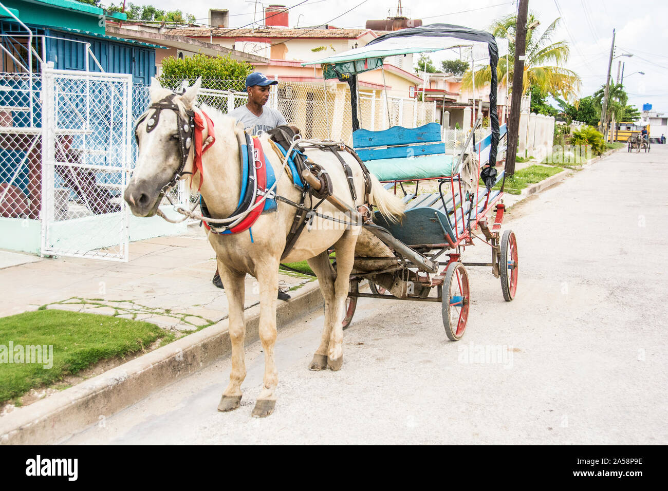 Ein Taxifahrer steht hinter seinem Rig; ein Pferd und Buggy, mit dem er Passagiere transportiert. Stockfoto