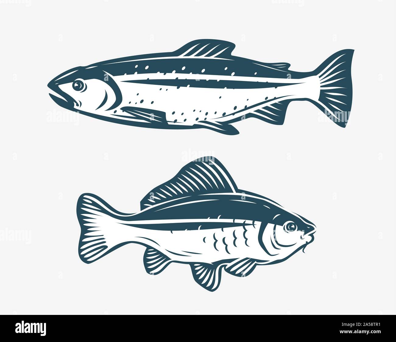 Fische wie Forelle und Karpfen. Fischereikonzept. Vektorgrafik Stock Vektor