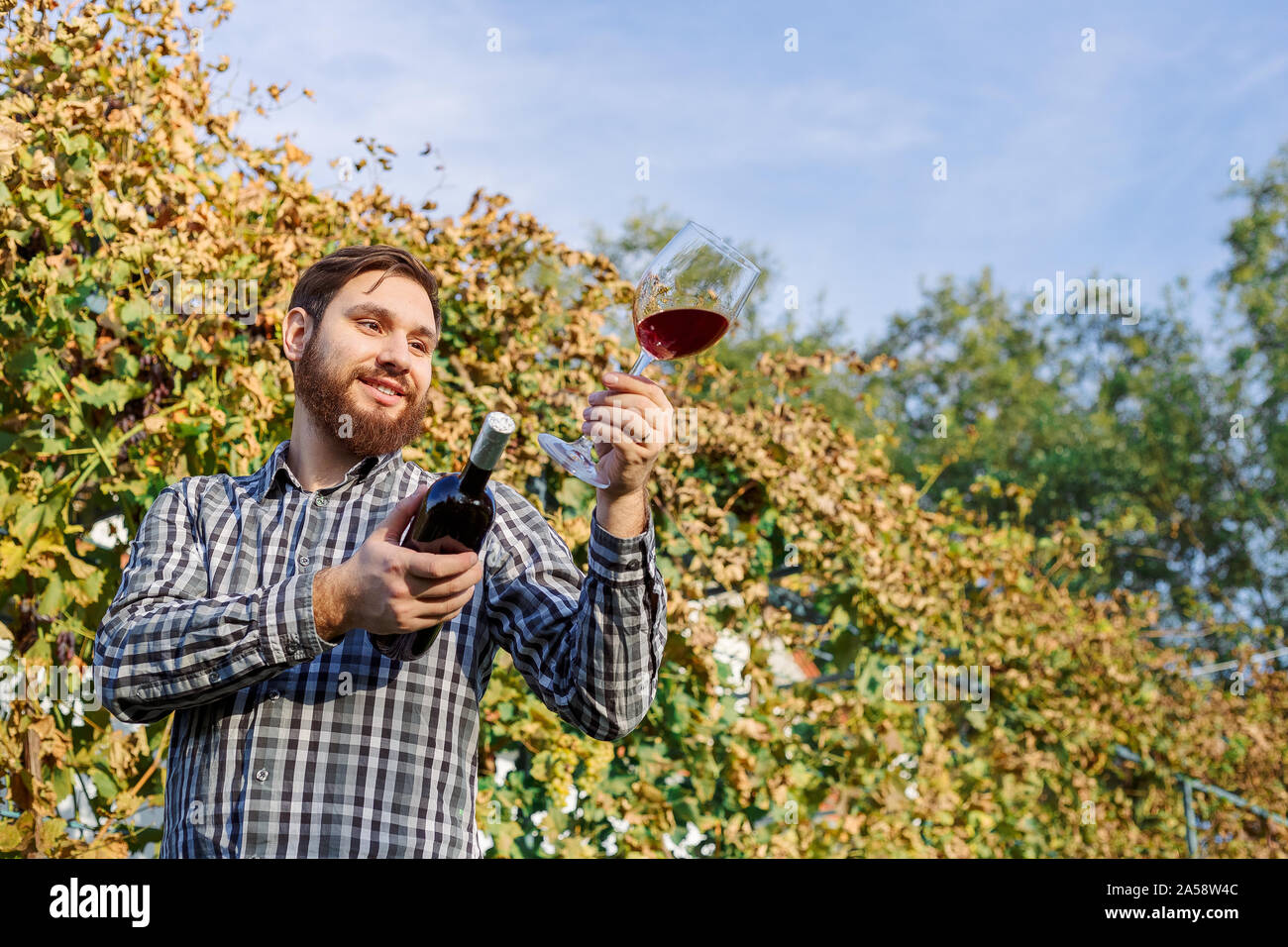 Portrait von stattlichen Winzer in seiner Hand Flasche und ein Glas Rotwein und Verkostung, Kontrolle Wein Qualität beim Stehen in der Weinberge Stockfoto