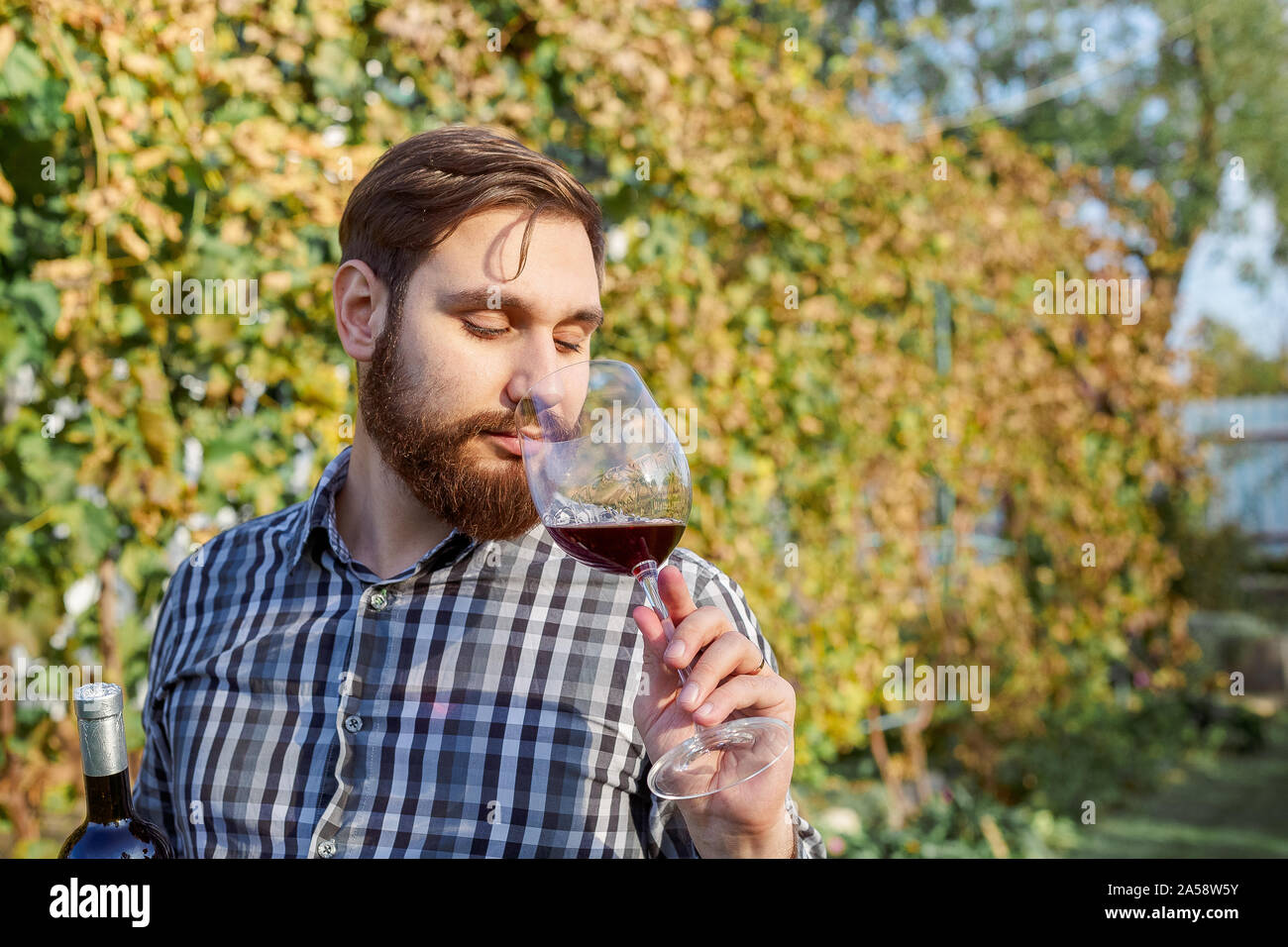 Portrait von stattlichen Winzer in seiner Hand Flasche und ein Glas Rotwein und Verkostung, Kontrolle Wein Qualität beim Stehen in der Weinberge Stockfoto