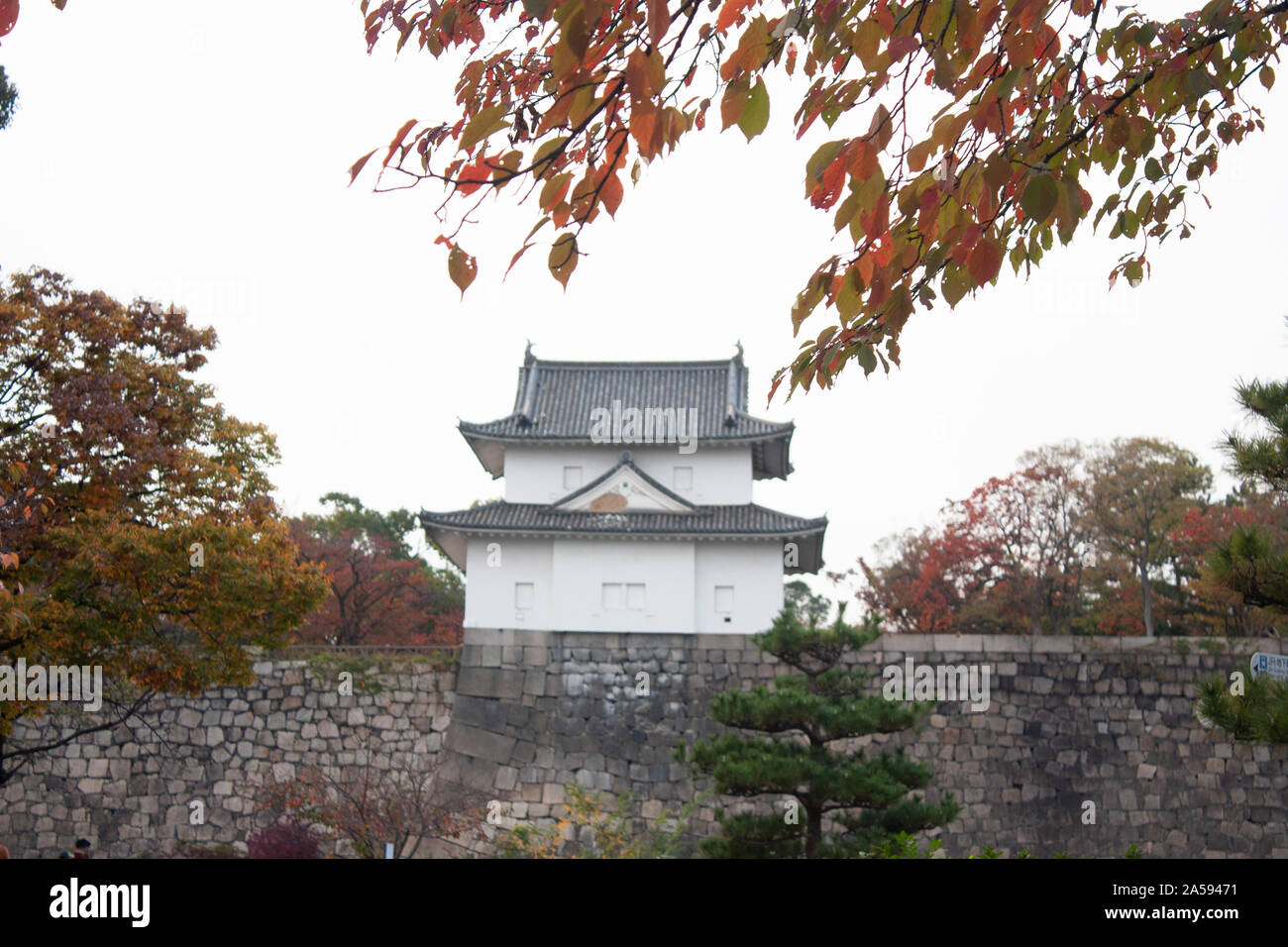 Blätter im Herbst in Rot und Osaka district in Kyoto Japan Architektur Stockfoto