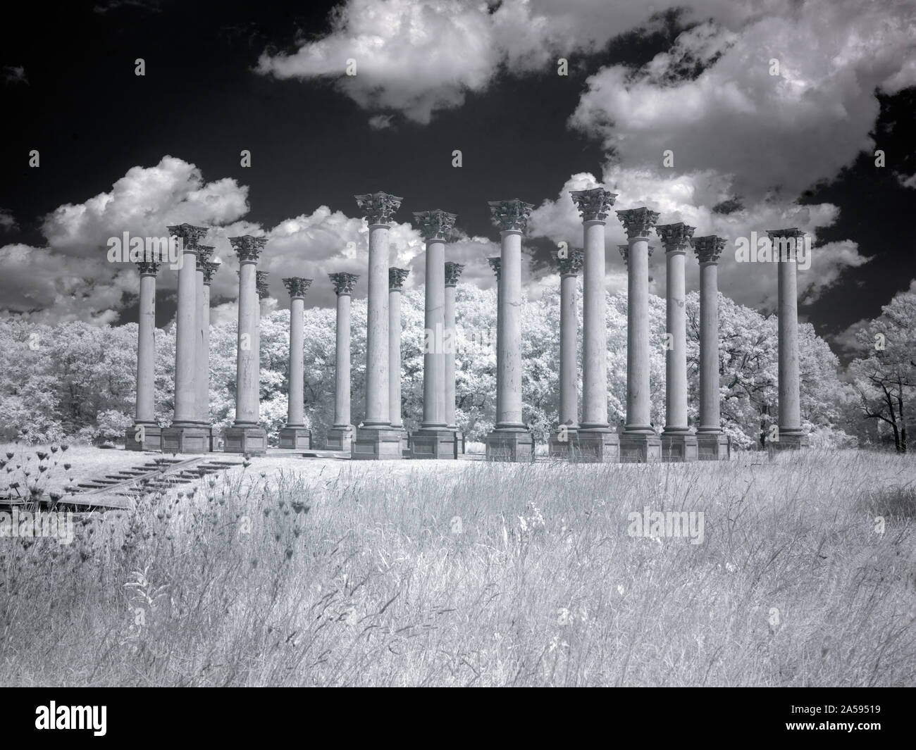 United States National Arboretum in NE, Washington, D.C entfernt Stockfoto