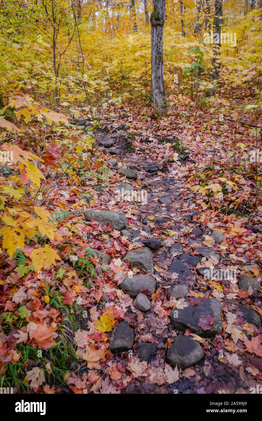 Eine felsige Wanderweg im Herbst Stockfoto