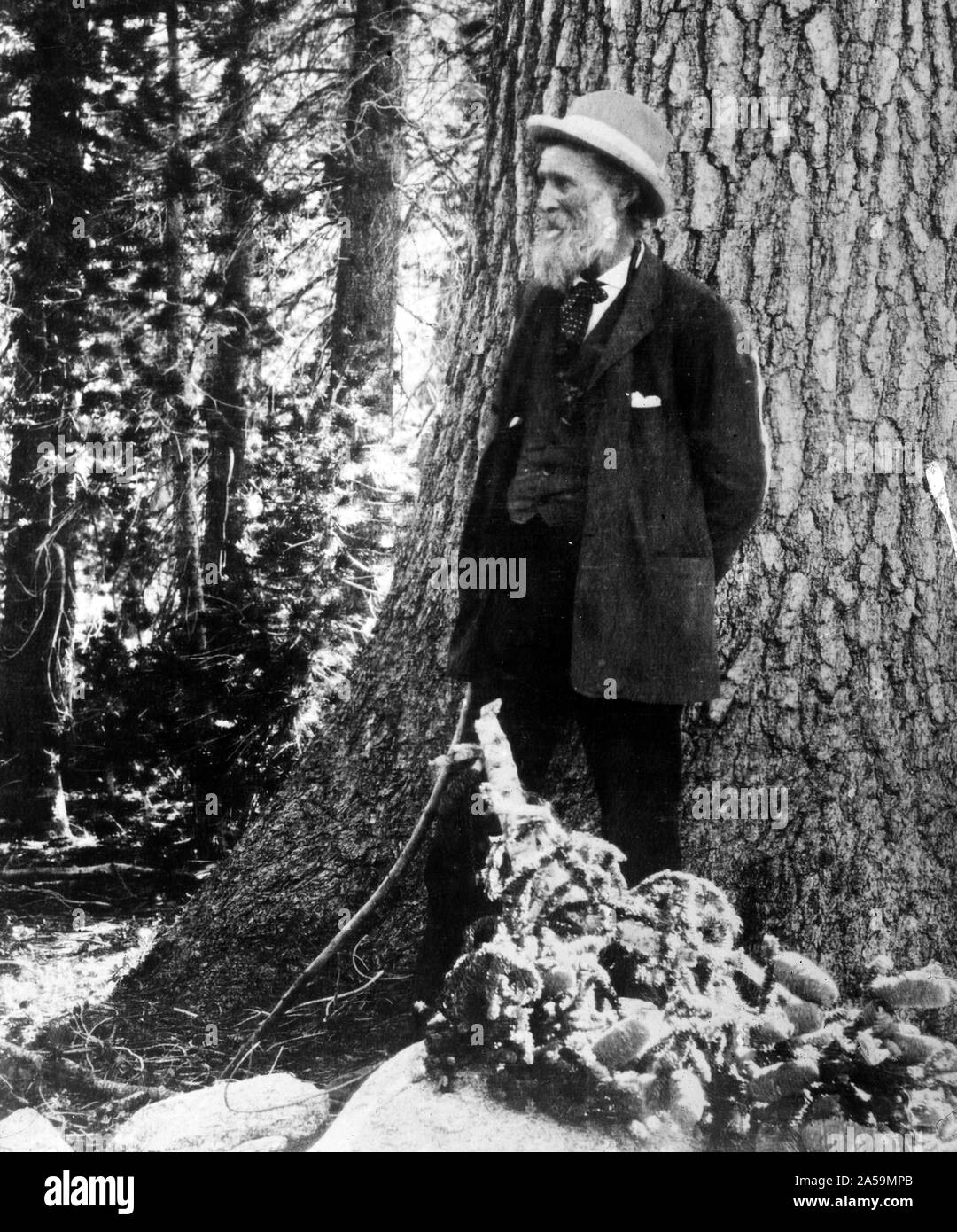 John Muir Stockfoto