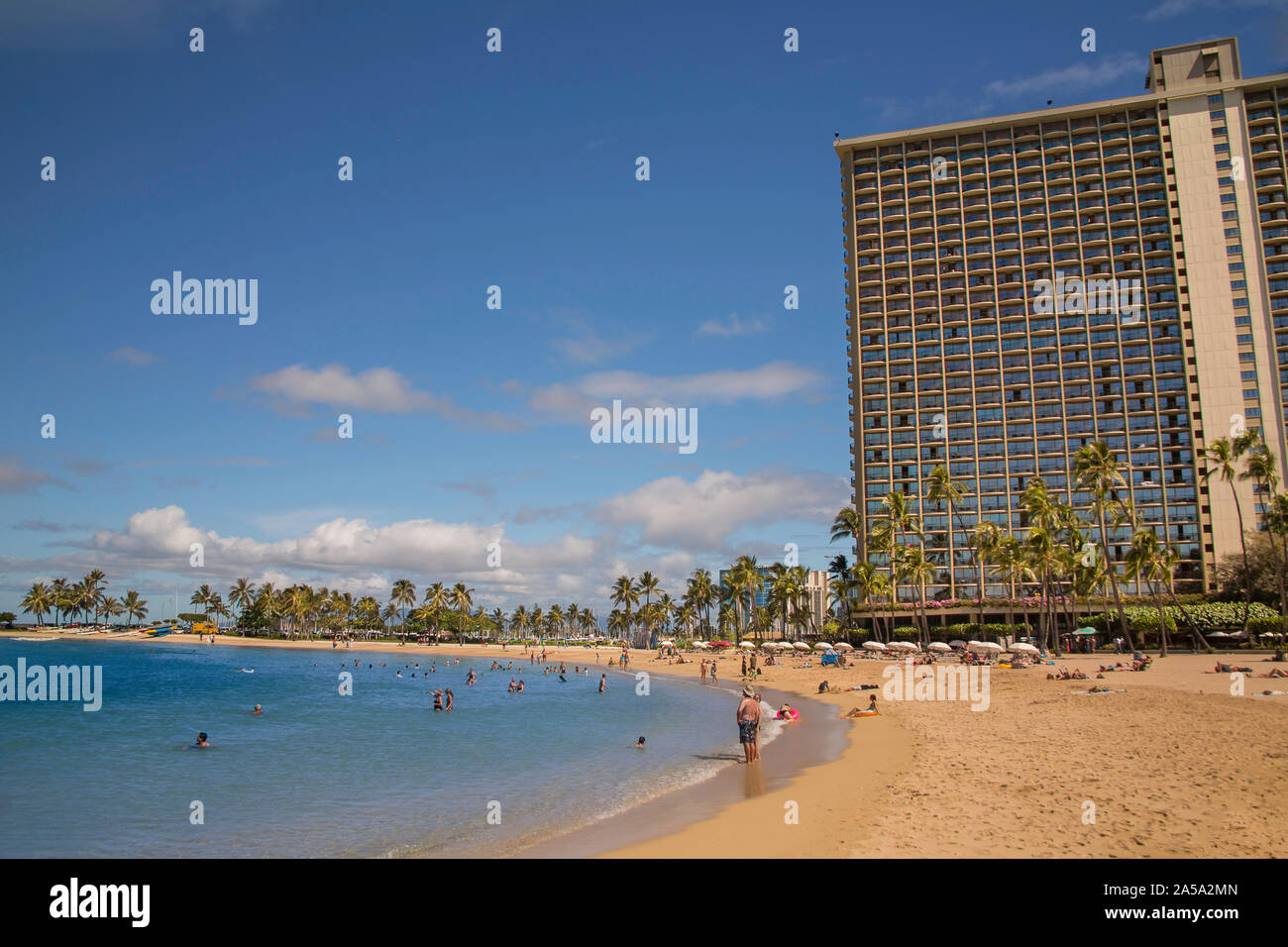 Kahanamoku Strand, Palmen und das Hilton Rainbow Tower, Oahu, Hawaii. Stockfoto
