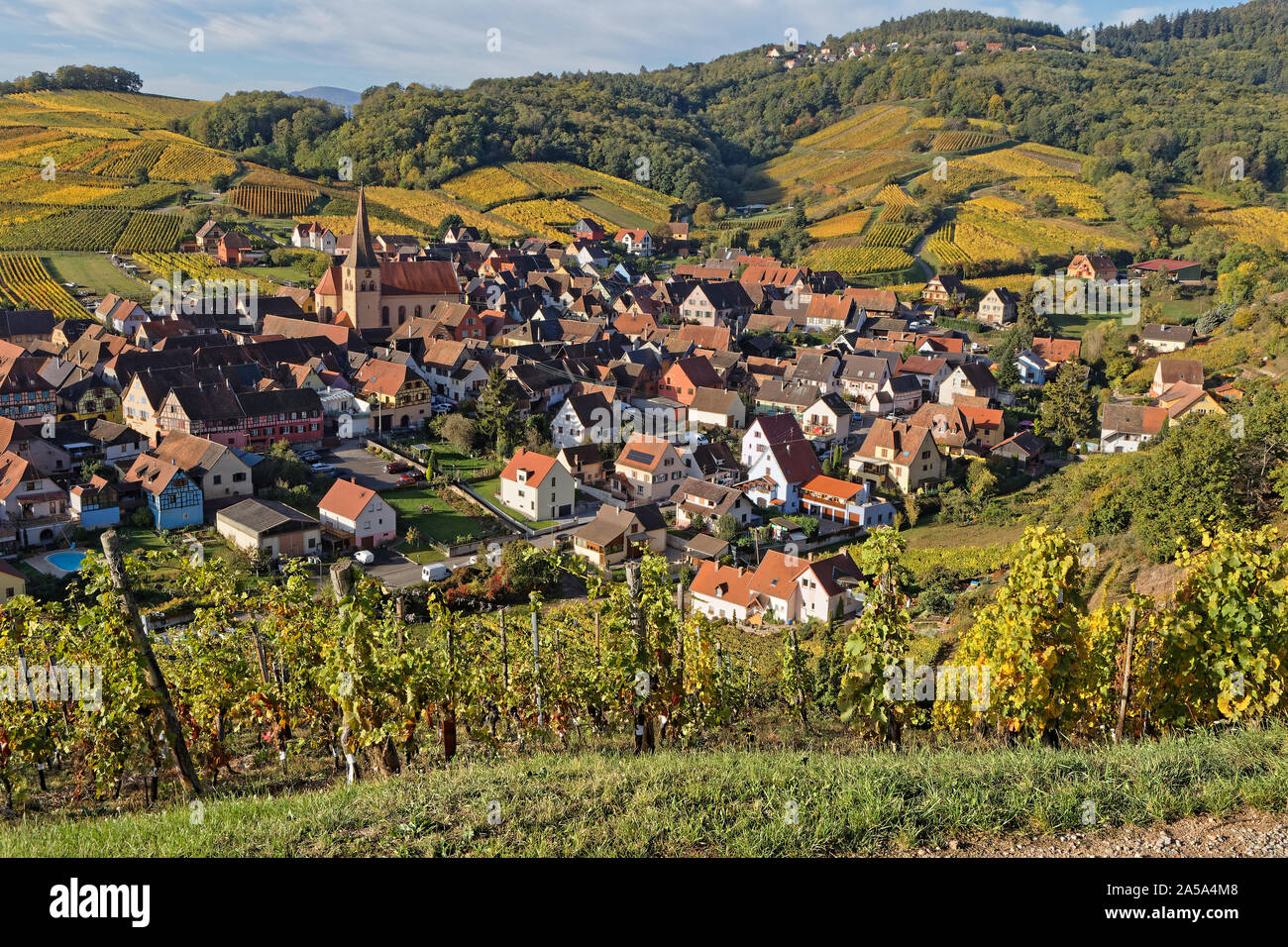 Das Dorf Riquewihr in seinen Weinbergen Landschaft Stockfoto