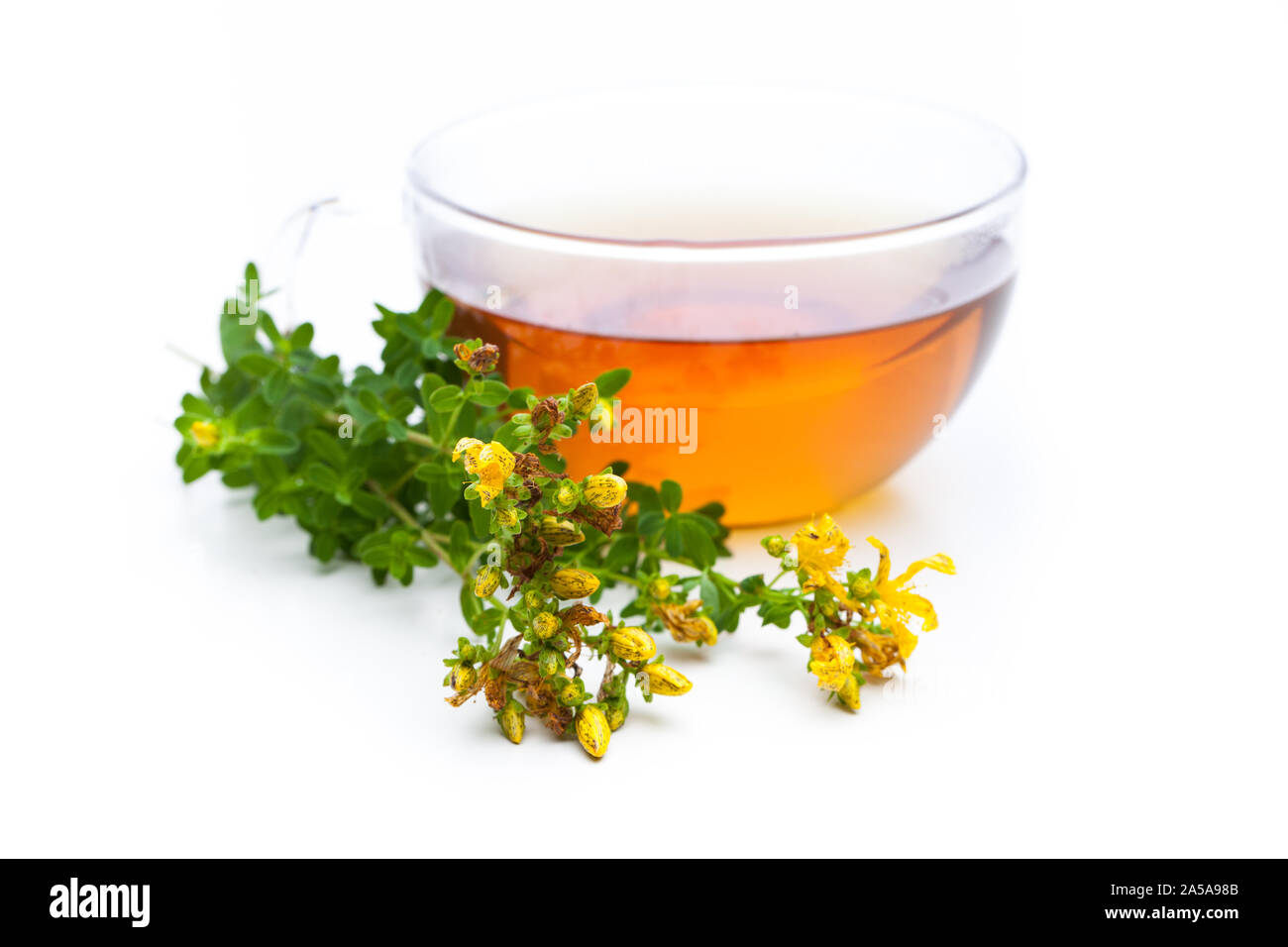 Heilende Pflanzen: Johanniskraut (Hypericum perforatum) und Tee Pflanze mit Blumen Stockfoto