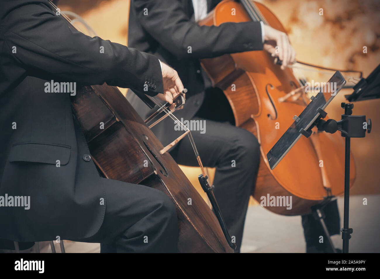 Ein Duo von zwei Musiker in schwarzen Anzügen, die die Celli mit Bögen im Herbst spielen. Stockfoto