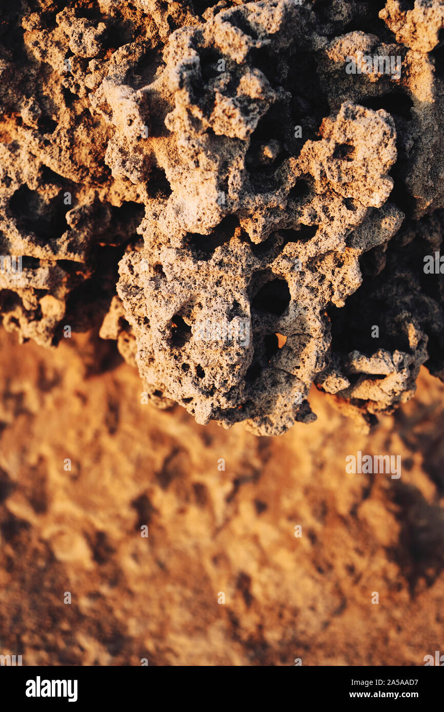 Die gezackten verwitterten scharfe Kalkstein Felsen Geologie des Capo Mannu eine Landzunge an der Westküste von Sardinien, Italien. Stockfoto