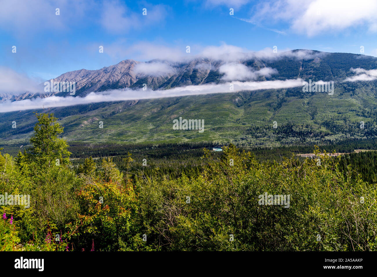 Rocky Mountains graben canada Rockies Stockfoto