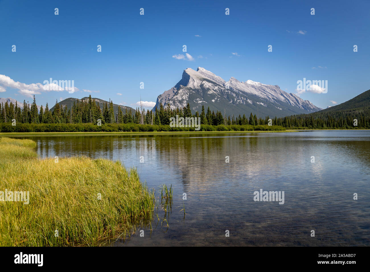 Vermilion Lakes und Mt. Rundle Stockfoto