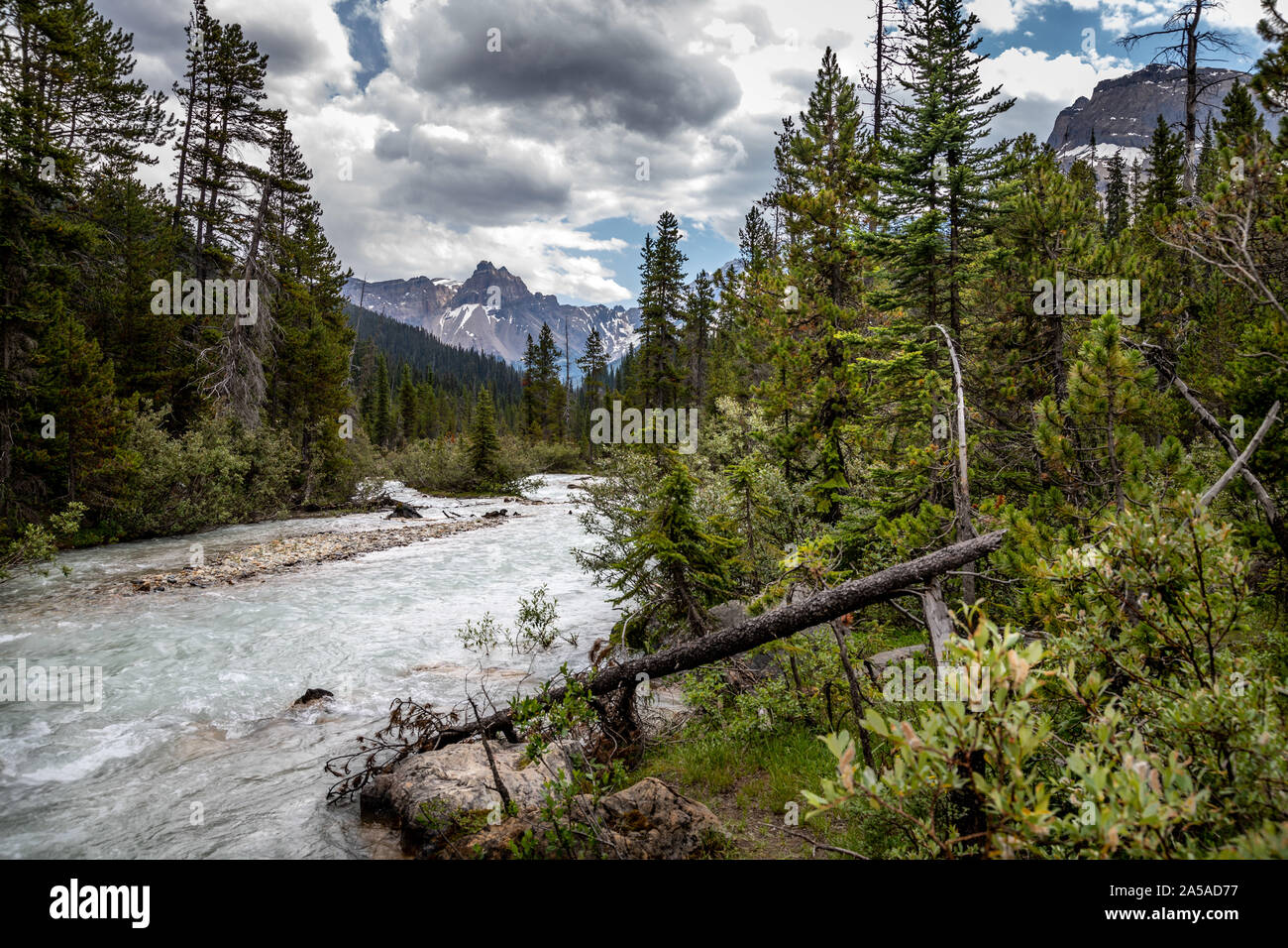 Takakkaw Falls Kanada Stockfoto