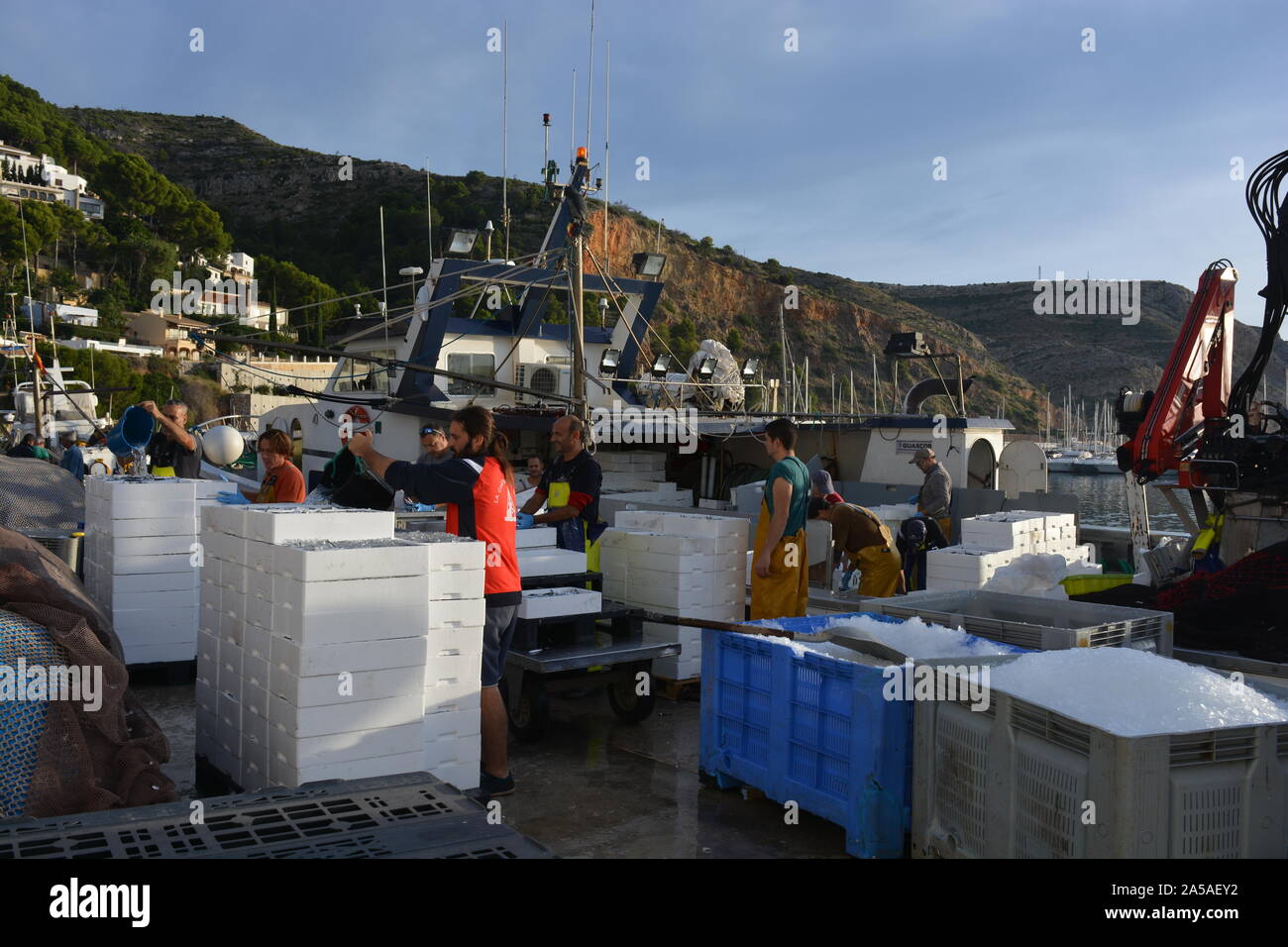 Boxen von fangfrischen Sardinen und Eis entladen von einem Fischtrawler, mit Fischern in ölzeug auf dem Boot im Hintergrund, Javea, Spanien Stockfoto