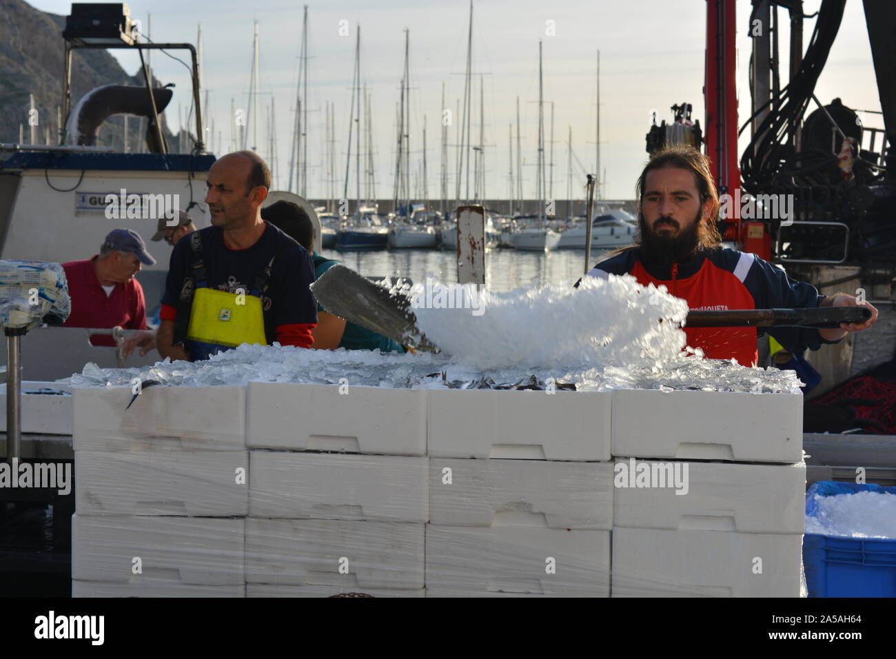 Boxen von fangfrischen Sardinen und Eis entladen von einem Fischtrawler, mit Fischern in ölzeug auf dem Boot im Hintergrund. Stockfoto