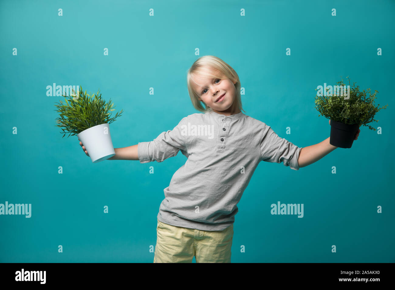 Ein kleiner Junge Töpfe Holding mit einem grünen Pflanze. Kinder und Natur. Die Erhaltung der Natur Stockfoto