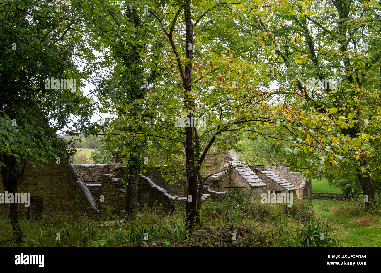 Verfallene Hütten an Tyneham Dorf in der Nähe von Wareham, Dorset, Großbritannien. Das Dorf wurde während des Zweiten Weltkrieges aufgegeben. Stockfoto