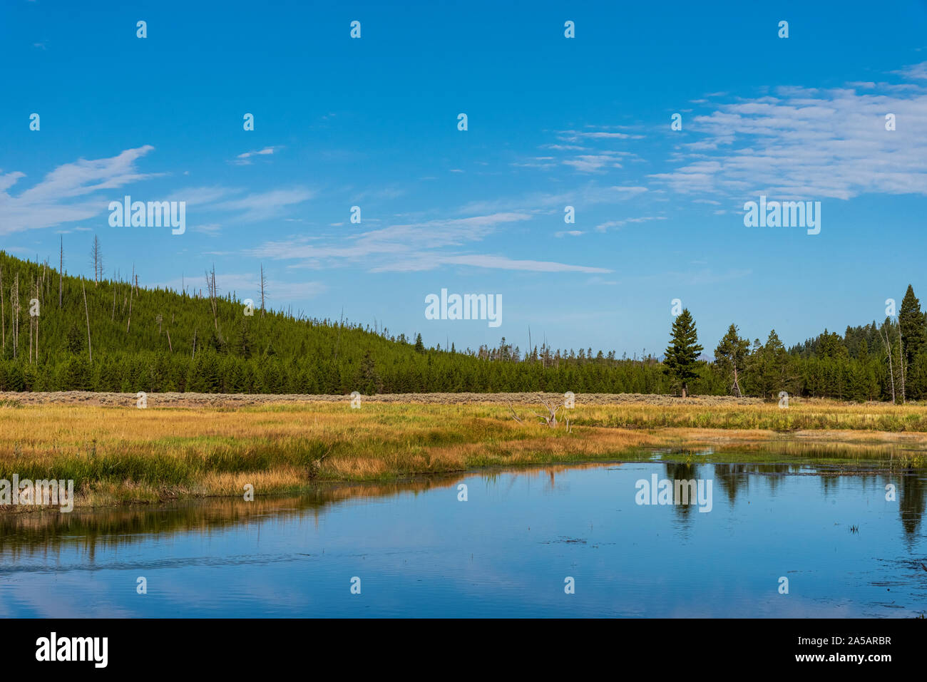 Blaues Wasser, Himmel und Bäume im Golden, grünen Tal mit grünen Wald unter blauem Himmel. Stockfoto