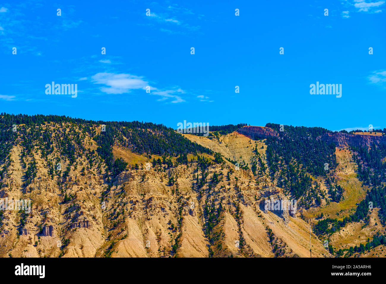 Berg im grünen Wald unter blauem Himmel bedeckt. Stockfoto