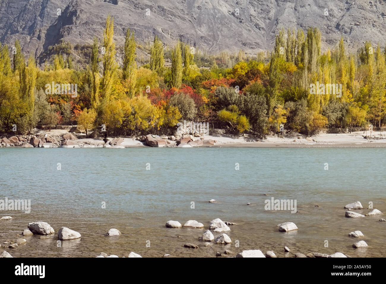 Natur Landschaft Blick auf Ghanche im Herbst Saison. Bunte Bäume mit Türkis Shyok den Fluss und die Berge im Hintergrund. Gilgit Baltistan, Pakistan Stockfoto