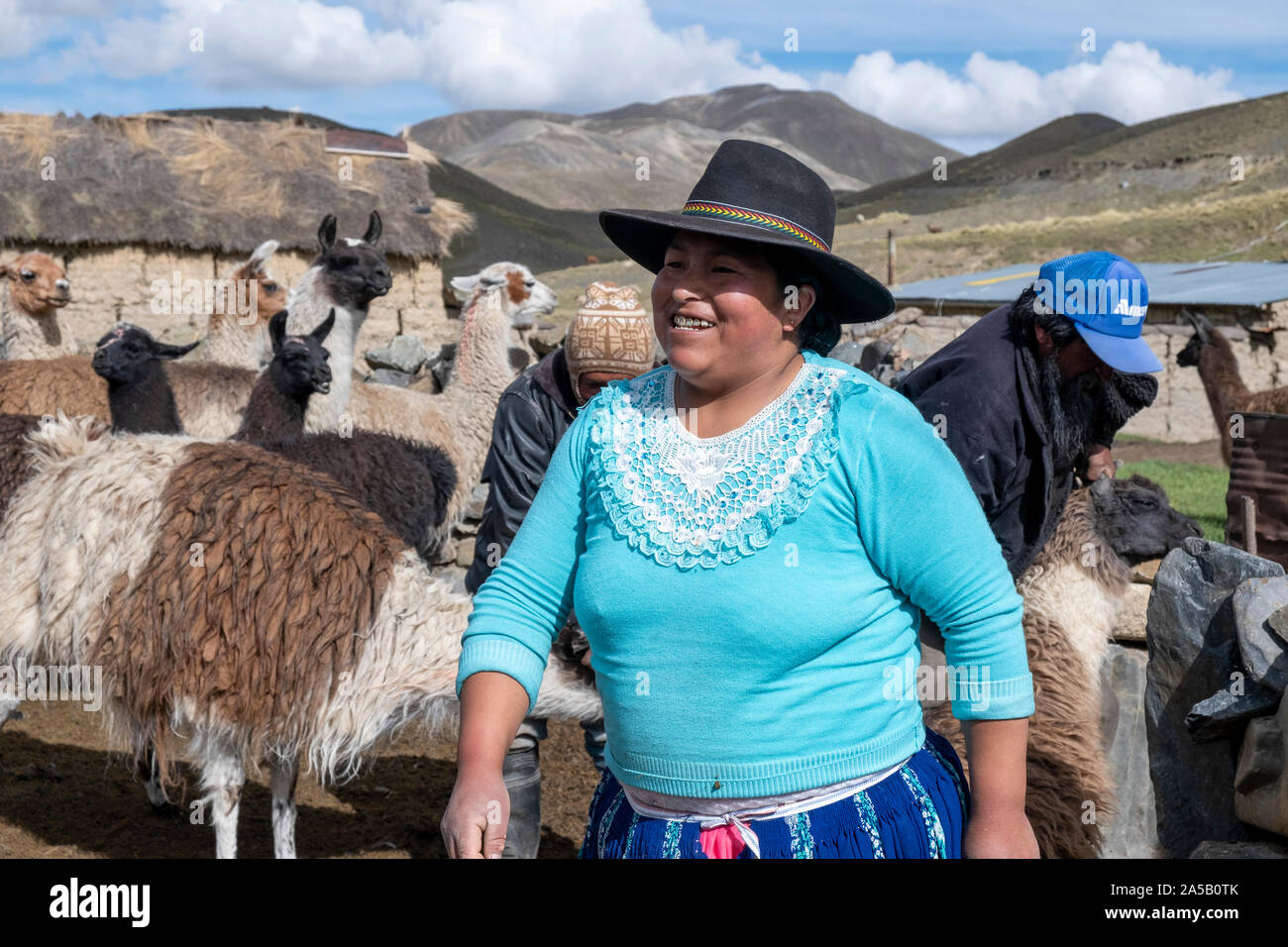 Frau mit Lamas in der Cordillera, Bolivien Stockfoto