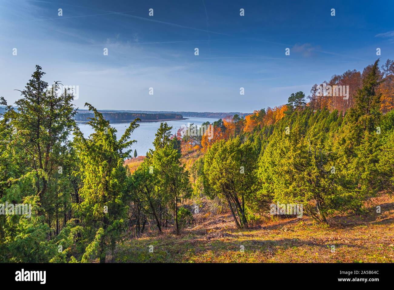 Landschaft von Juniper Tal in Litauen im Herbst Stockfoto