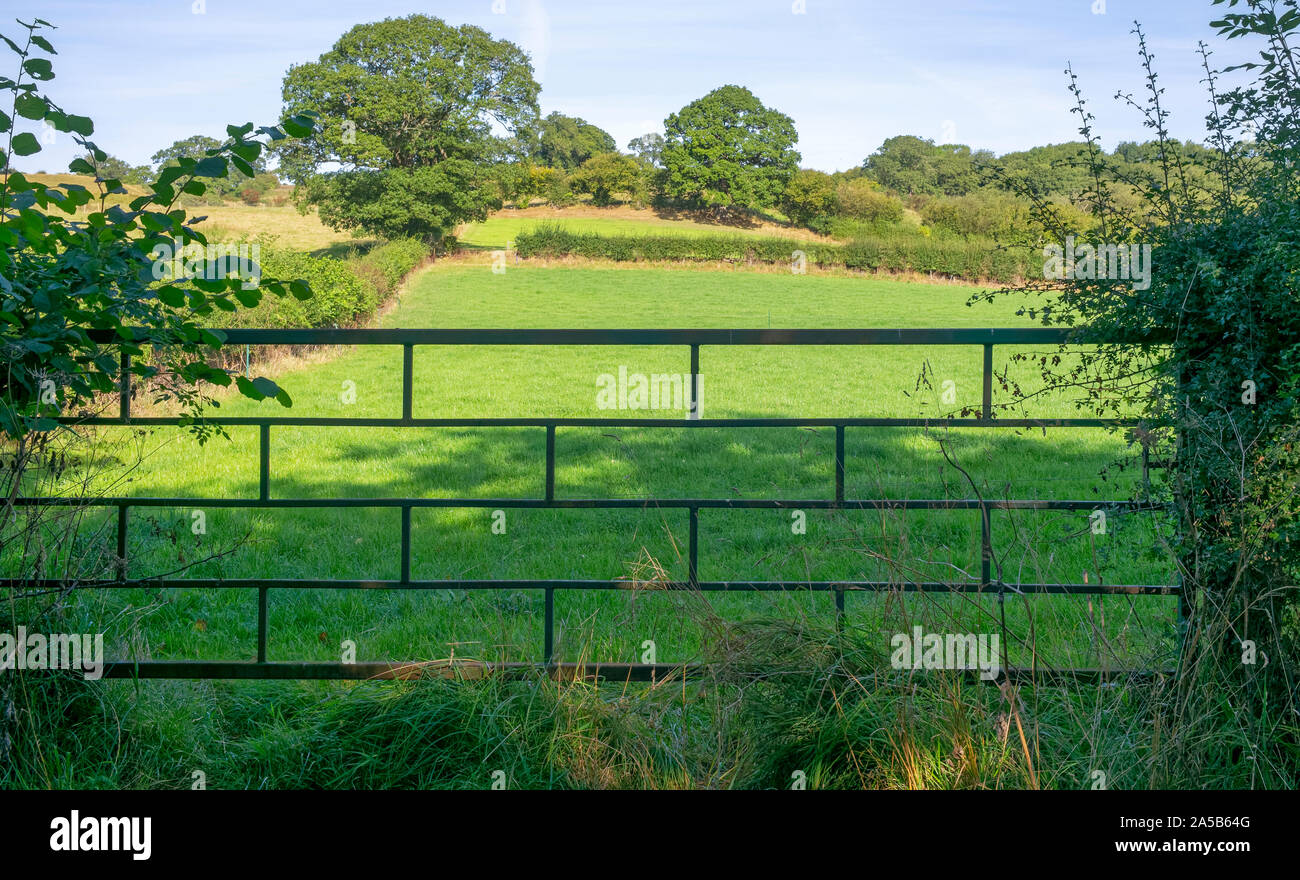 Eine ungewöhnliche Vintage 5-bar-Metal Gate an der Seite des "alten Toll Road', Egton Bridge, North Yorkshire, Großbritannien Stockfoto