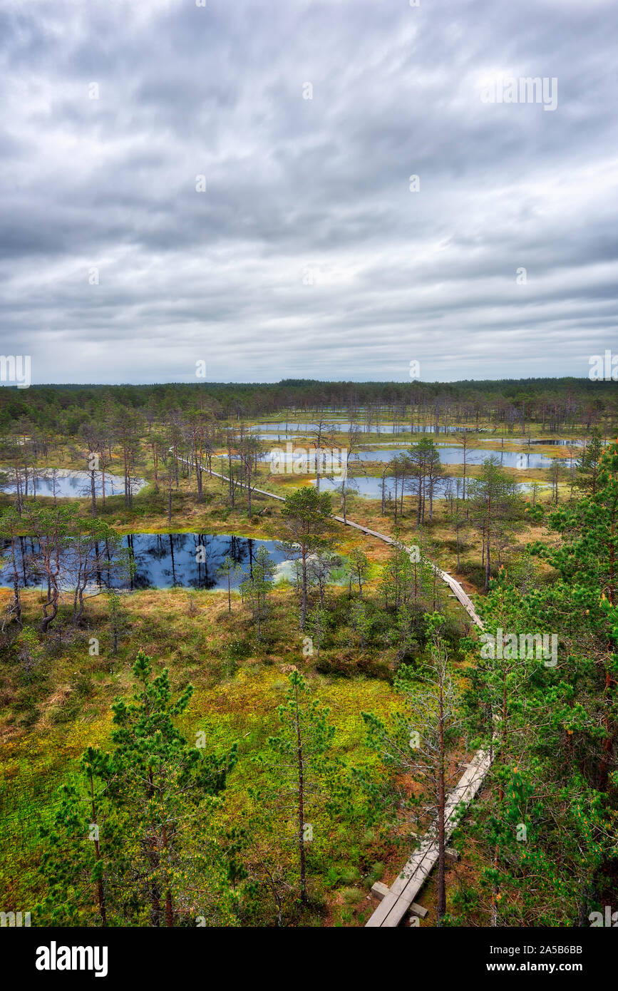 Viru Bog an einem bewölkten Morgen, östlich von Tallinn, Estland, im Mai 2019 getroffen Stockfoto